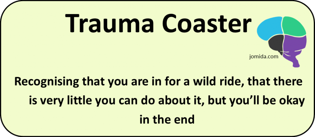 Trauma Coaster: Recognising that you are in for a wild ride, that there is very little you can do about it, but you’ll be okay in the end