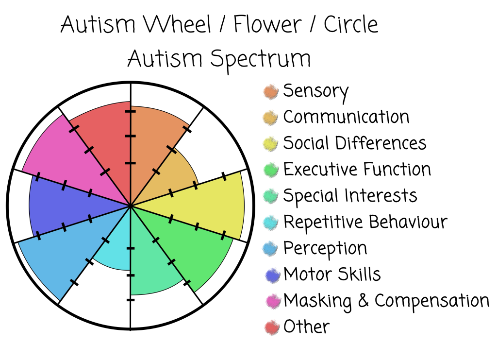 Autism Wheel showing a circle with coloured slices radiating from the centre. The size of the slice is the amount of that domain representing the domain for that person. Graphic by Joshua Davidson.