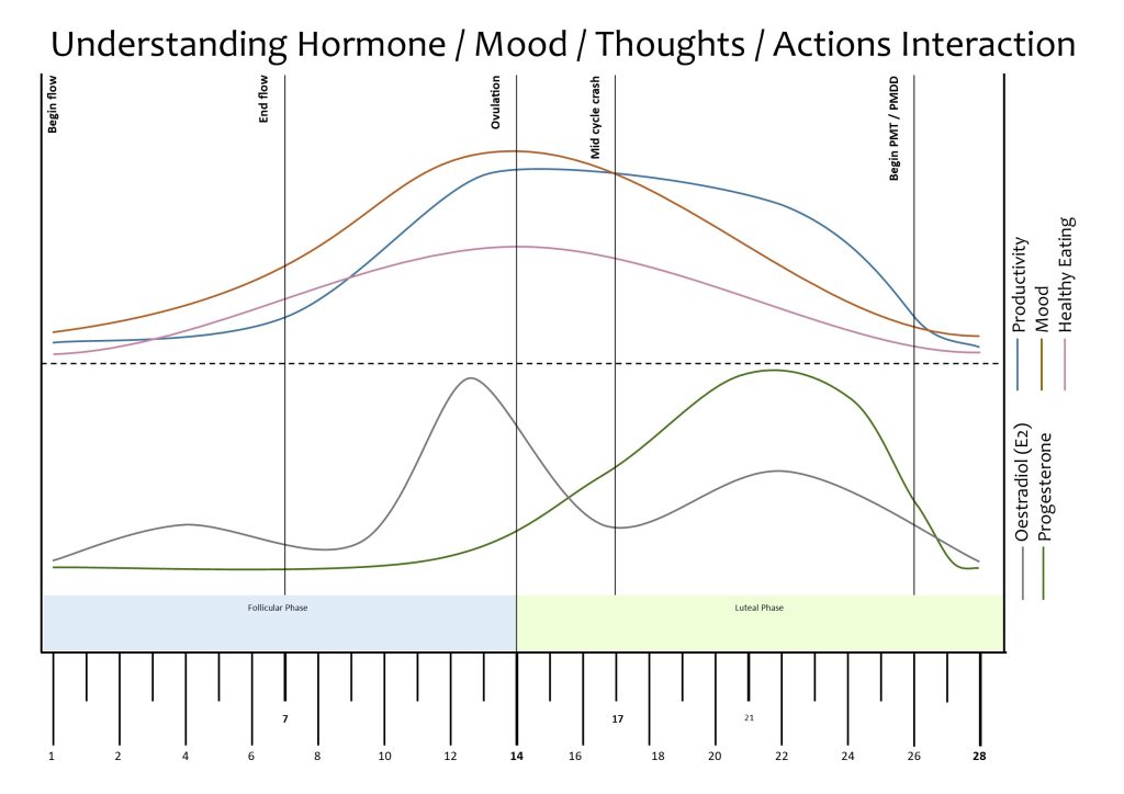 Menstrual cycle, aligning the hormones with productivity, mood and eating.
